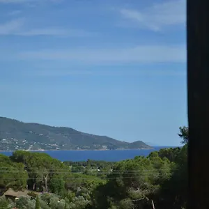 Fillirea Capoliveri (Isola d'Elba)